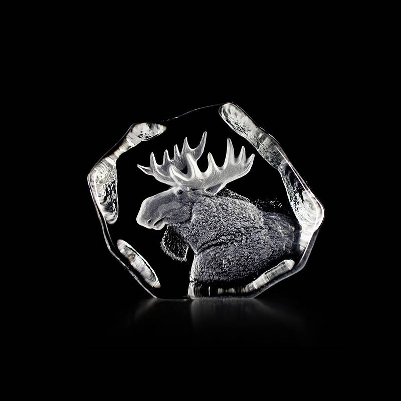Moose