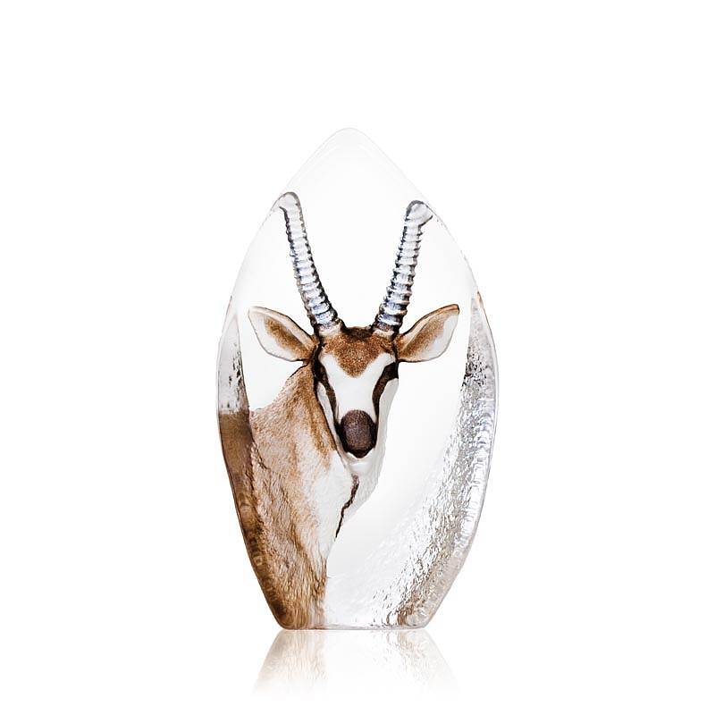 Antelope