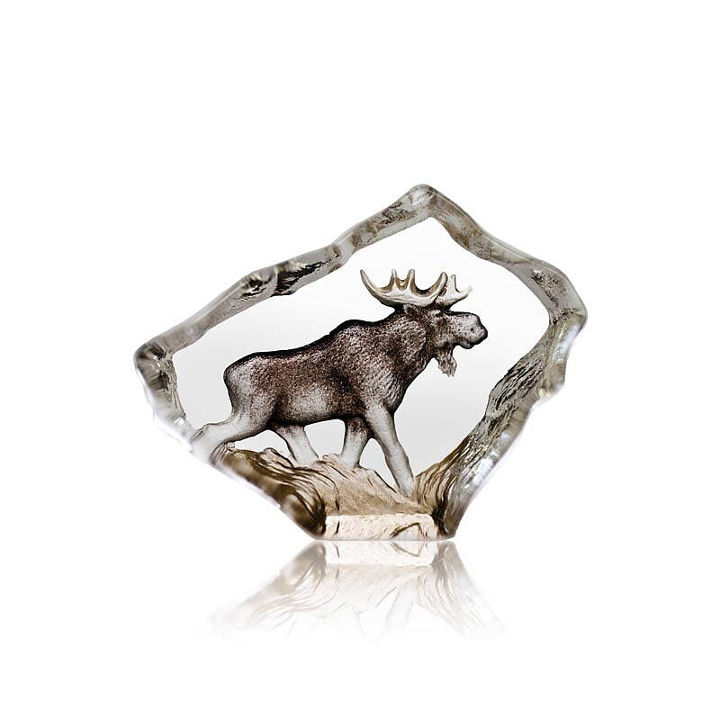 Moose