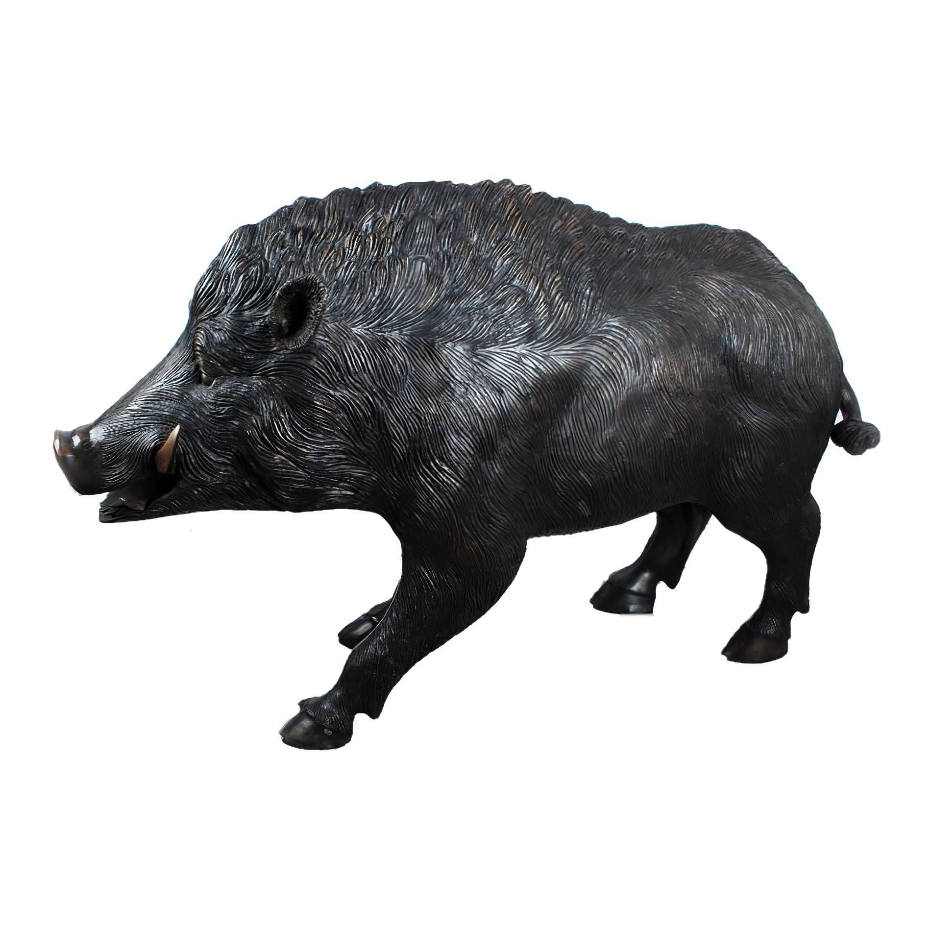 Wild Boar, Large