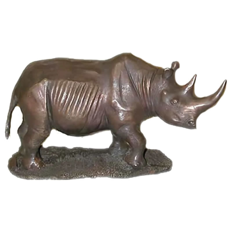 Rhino, Bronze