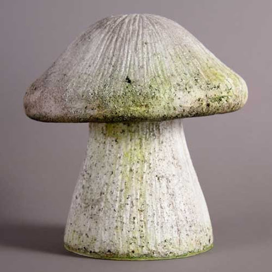 Wild Mushroom- 10 Inch