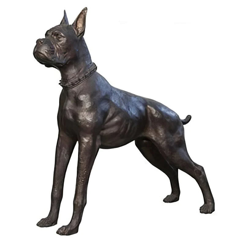 Bronze Boxer Dog Statue, 37 Inch