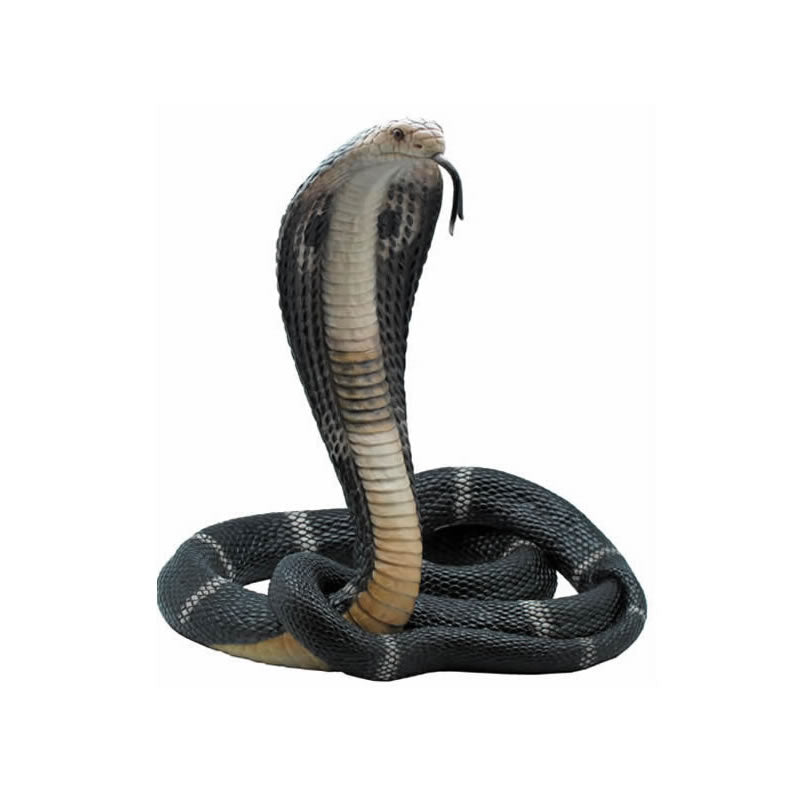 Lifelike King Cobra Snake Sculpture